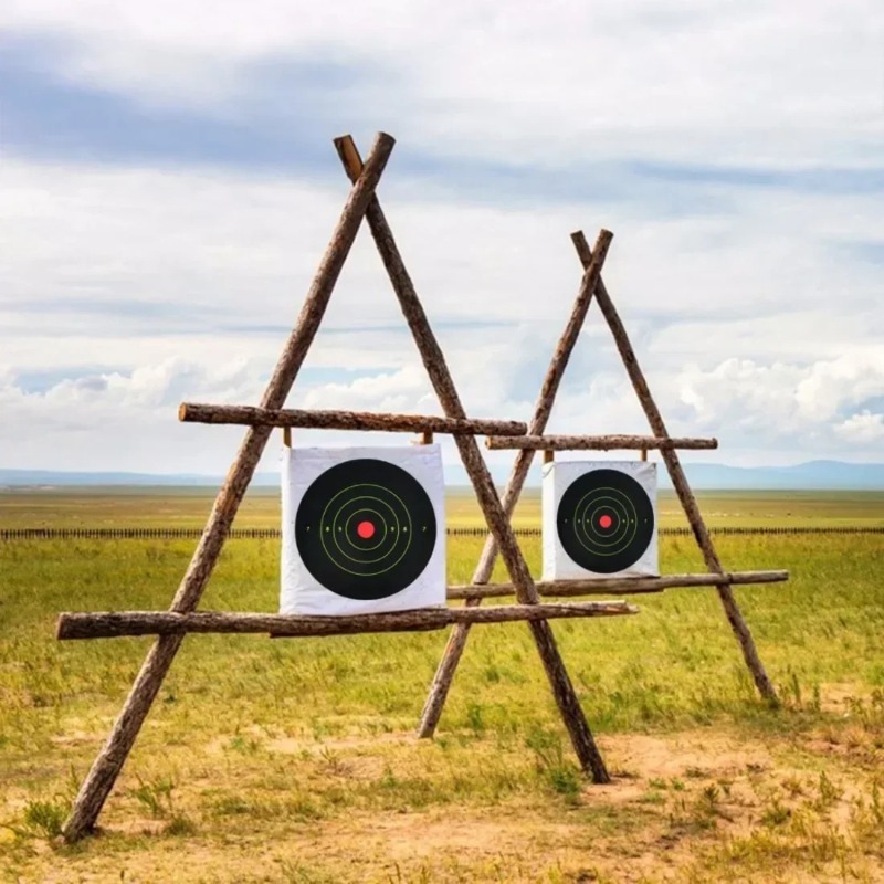 50枚/100枚/150枚/200枚/250枚 カラースプラ - Practice Target Board のレビューと価格